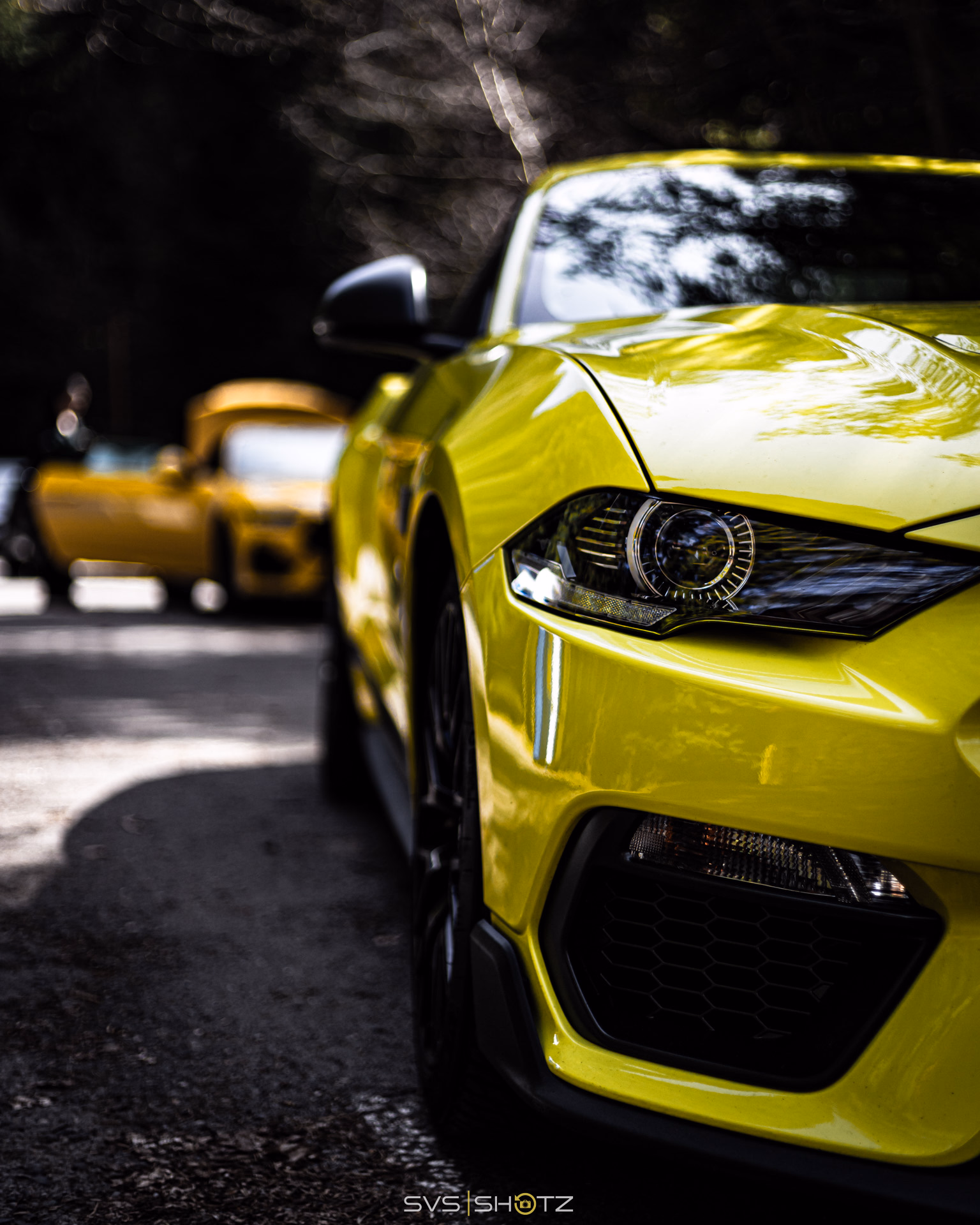 Image from Auto-Moto photos album